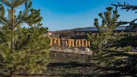 Кавказский Целитель - 10