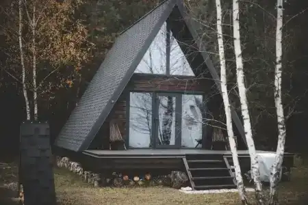 Лесная поляна - 0