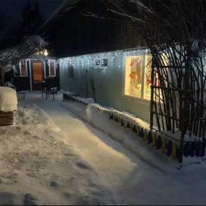 Уютный деревенский домик с русской баней возле озера в Большой Ухолоде - 22