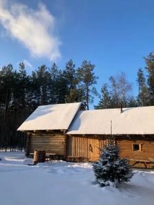 Уютный лесной домик со всеми удобствами в Полянках - 27