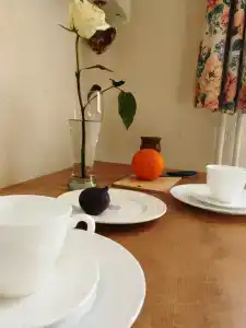 Квартиры на Старопрегольской набережной 16 - 7