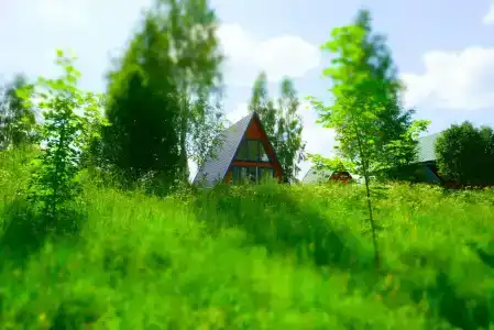 Соленый Бобр - 1