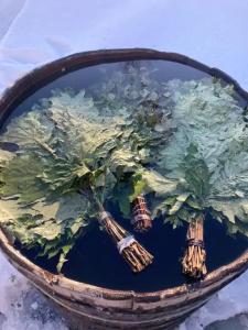 Уютный лесной домик со всеми удобствами в Полянках - 25