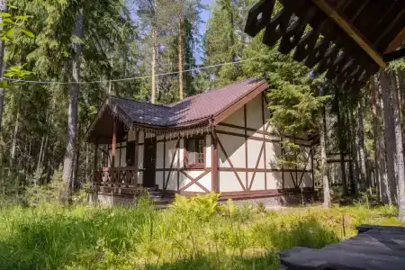 Шишки на Лампушке - 223