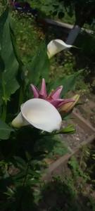 все в нем - 14