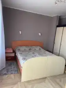 Кипарис - 206