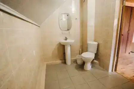 Виолетта - 55