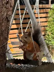 Терраса Домики в Архызе - 95