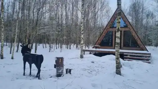 Глэмпинг Ёлкино За Палкино - 92