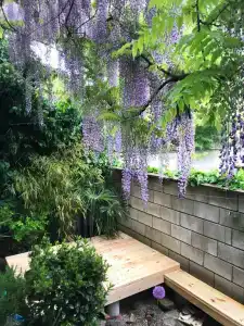 Домик у моря в Сатере - 8