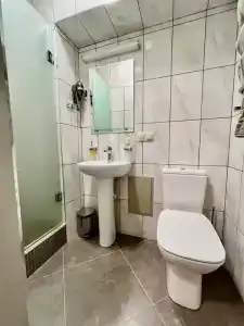 Пальма - 146