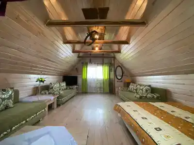 Светлазара - 48