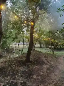 Тихий пруд - 20