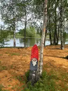 Отдых в тишине у реки - 122