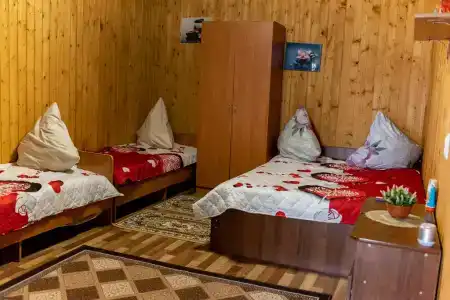 Платан - 5