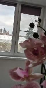 Квартиры на Генерала Карбышева набережная 4 - 14