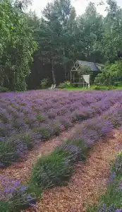 Дом у реки Волма - 24