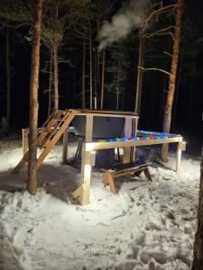Частный дом Ильинка в Карелии - 41
