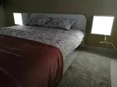 Сосны - 58