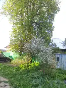 ЛадоГа Баня - 2