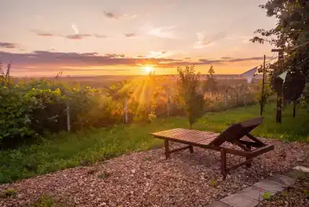 Dao View - Ясные просторы - 82