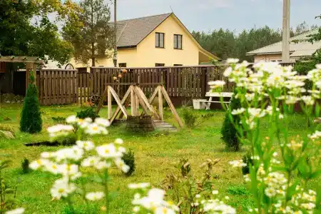 Боровики - 39