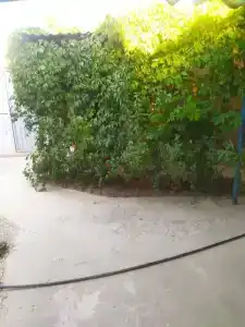 Гостевой дом у Эльзары - 5