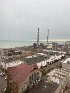 магнолия в центре - 12