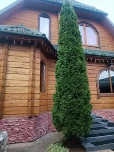 Очень уютный коттедж в черте города - 1