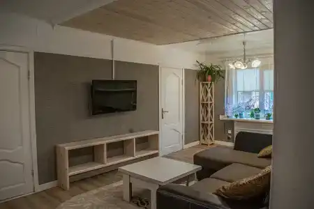 Боровики - 42