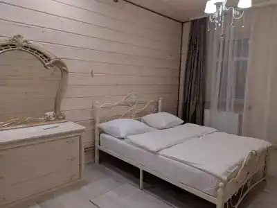 Дом Ямщика с русской баней - 1