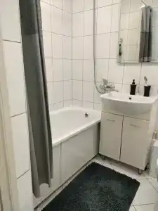Спутник - 10