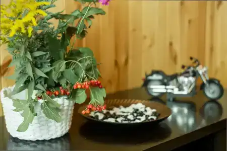 Дом с удобствами и садом в СНТ Связист - 33