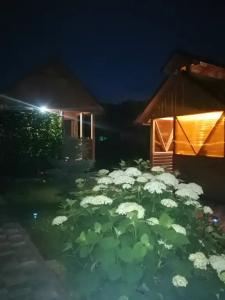 Счастливый случай - 22