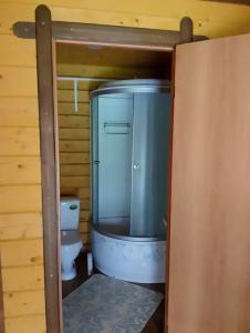 зелёный свет - 1
