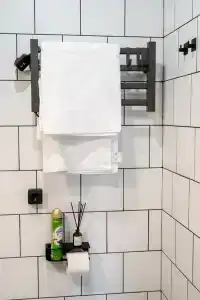 Мамонтовъ - 70