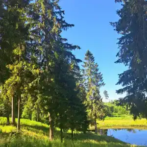 Уютный дом - 18