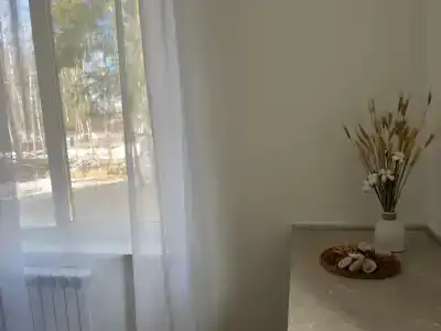 Дом в сосновом лесу - 7