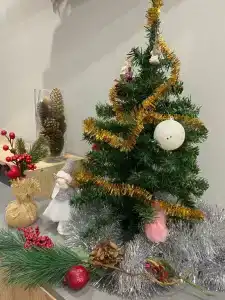 Квартиры на Тельмана 12 - 27