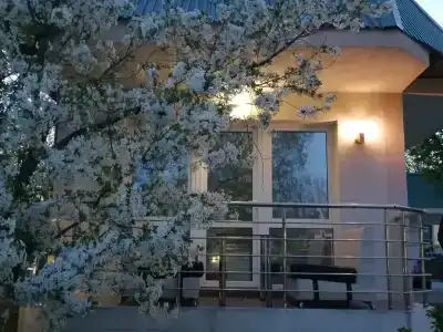 Дом с бассейном - 4