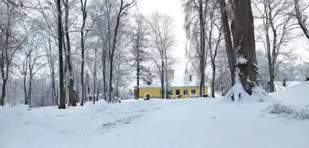 Мерево - 38