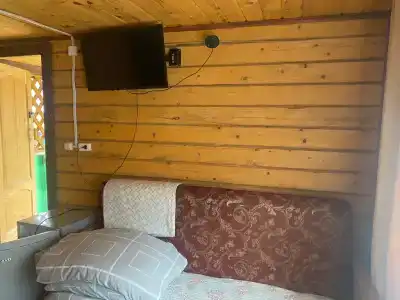 зелёный свет - 31
