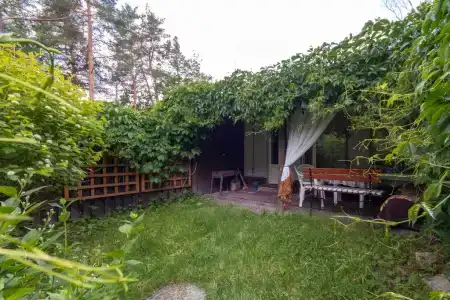 Мартышкино - 69