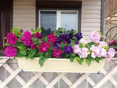 Семейный дом - 2