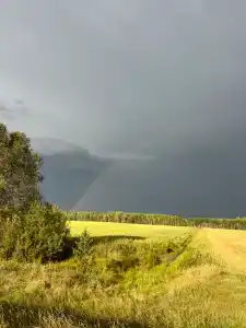 Пралеска - 22