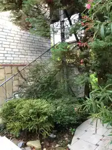 Дом и море через дорогу - 15