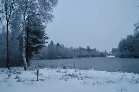 Хэйлун - 428