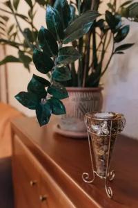 у Верхнего озера - 8