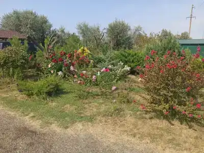 Дом для семейного отдыха без шумных соседей - 24