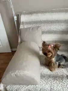 40 лет Октября - 24